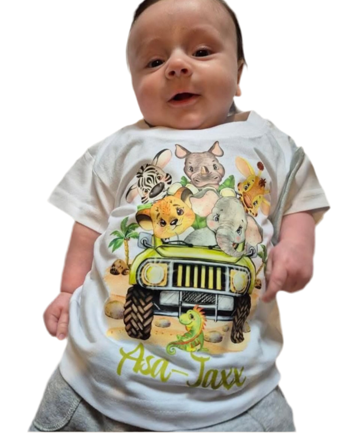 SAFARI ANIMALS