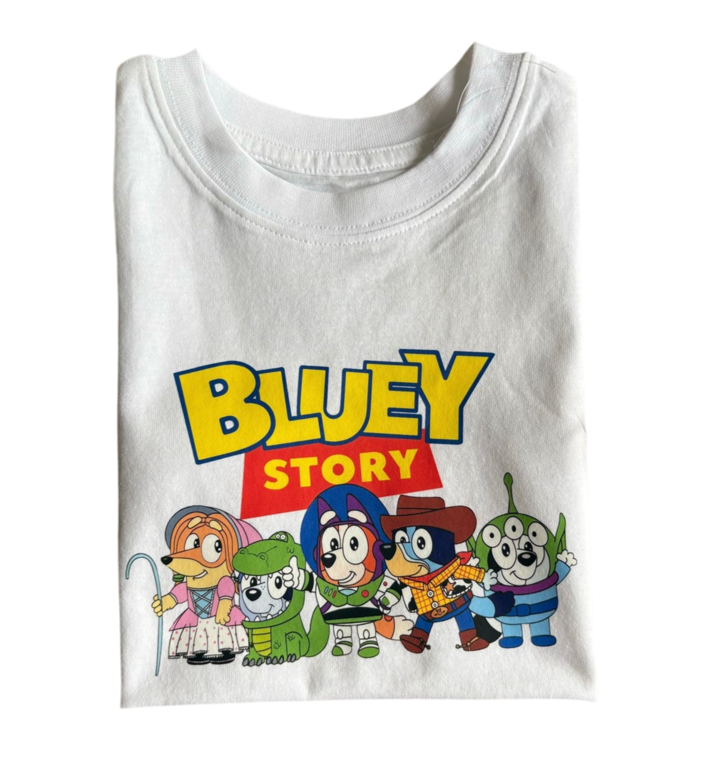 BLUEY STORY